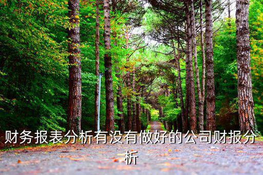 初學(xué)者財(cái)務(wù)分析分析什么公司，投資公司財(cái)務(wù)分析范文