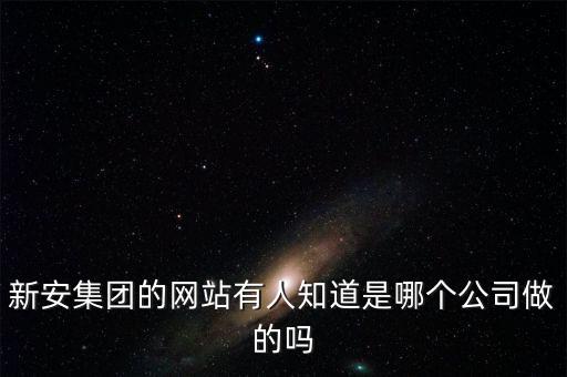 新安股份做什么的，新安集團的網(wǎng)站有人知道是哪個公司做的嗎