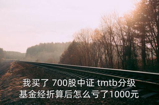 tmtb基金是什么股票，我買了 700股中證 tmtb分級基金經(jīng)折算后怎么虧了1000元