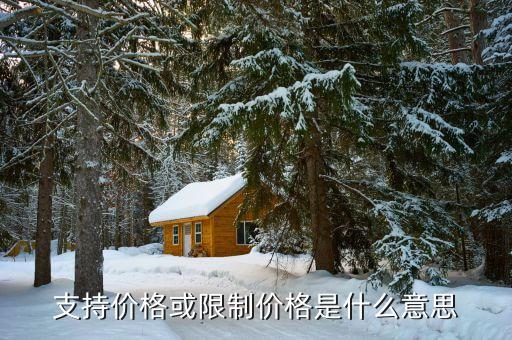 為什么政府實(shí)行價(jià)格支持，支持價(jià)格或限制價(jià)格是什么意思