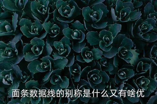 skewrons是什么牌子，skewrons是什么意思
