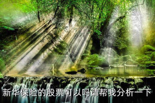 新華保險(xiǎn)為什么股票漲這么多，新華保險(xiǎn)的股票可以嗎請(qǐng)幫我分析一下