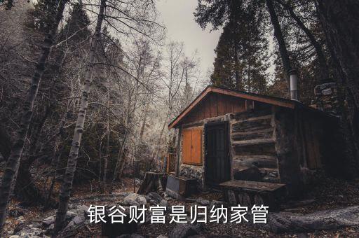 國(guó)家對(duì)銀谷財(cái)富是什么整策，銀谷財(cái)富是歸納家管