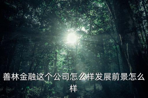 善林公司經營什么，善林金融這個公司怎么樣發(fā)展前景怎么樣