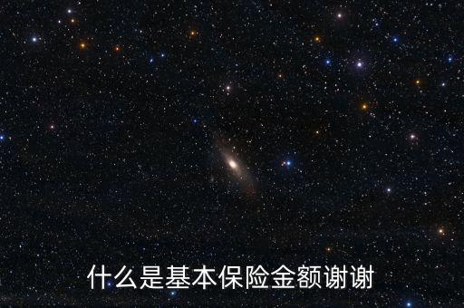 什么叫基本保險金額，基本保險金額是什么意思
