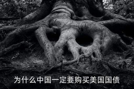 中國為什么買美國的國債，中國為什么要買那么多美國國債能不能說得通俗一點(diǎn)我不太懂經(jīng)濟(jì)