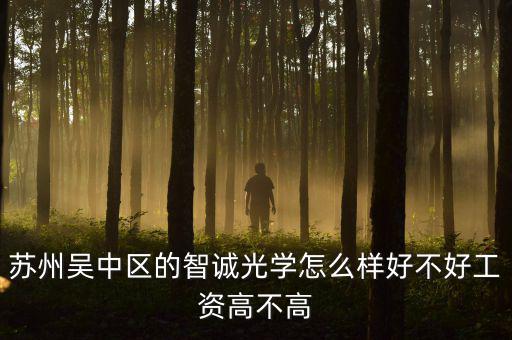 智誠光學里面主要生產什么，蘇州智誠光學公司怎么樣