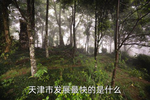 天津靠什么發(fā)展，天津市發(fā)展最快的是什么