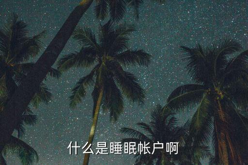 什么是睡眠賬戶，什么是睡眠帳戶啊