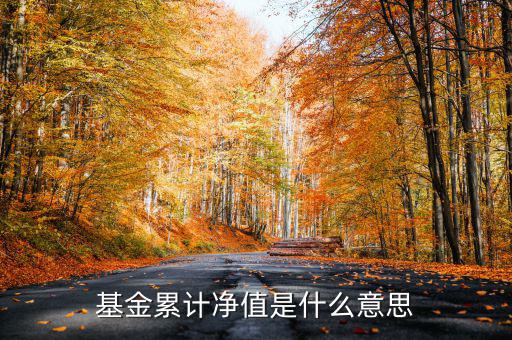 基金累計(jì)凈值是什么意思，基金凈值累計(jì)凈值各指什么