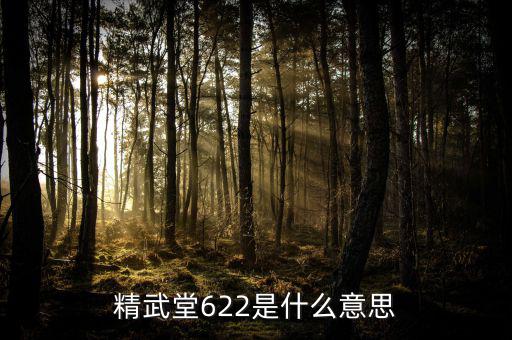 622什么意思國(guó)泰君安，國(guó)泰君安是什么意思