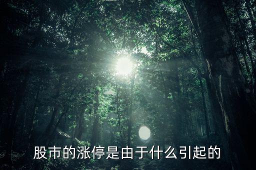 股票漲停跟什么有關(guān)系，股票開盤就漲停受什么因素影響能否具體回答