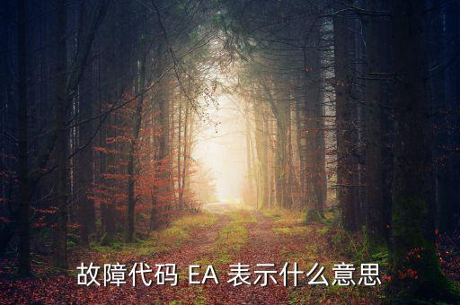 華泰ea什么意思，故障代碼 EA 表示什么意思