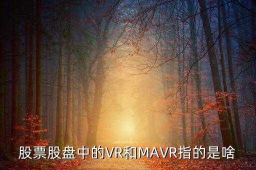 vr股是什么，股票股盤(pán)中的VR和MAVR指的是啥