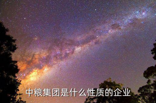 中糧集團是什么性質的企業(yè)