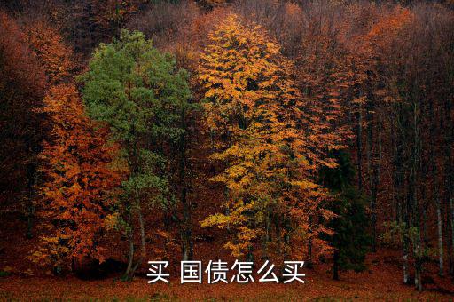 買 國(guó)債怎么買