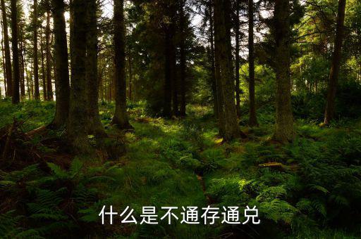 不通存通兌是什么意思，什么是不通存通兌