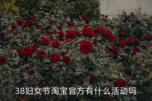 三八婦女節(jié)各個電商有什么活動，淘寶店在三八節(jié)可以搞些什么活動