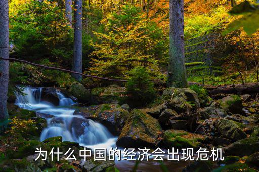 為什么中國將發(fā)生經濟危機，中國為什么會面臨經濟危機