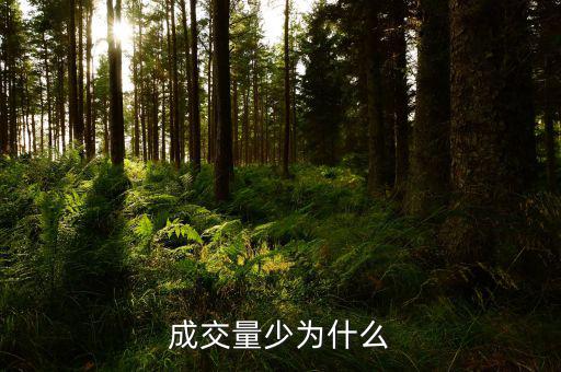 成交量小是什么原因，成交量少為什么