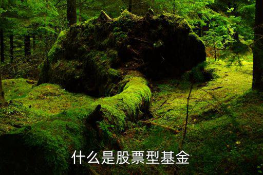 什么是權(quán)重股票基金，什么是股票型基金