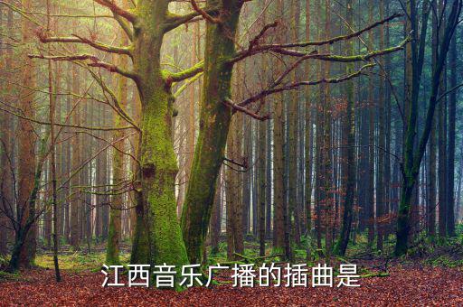 江西高速之歌是什么，江西音樂(lè)廣播的插曲是