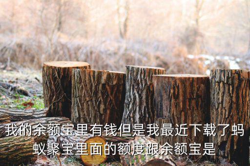 有什么軟件像存金寶那樣的，類似支付寶的理財產(chǎn)品有哪些