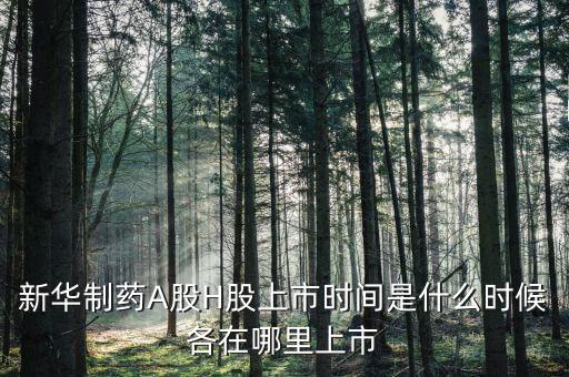 新華醫(yī)藥是什么股票，600587新華醫(yī)療2560買的最后1個交易日終究解套并小贏了請問接下來