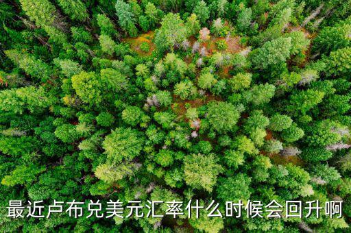盧布什么時候能回升，最近盧布兌美元匯率什么時候會回升啊
