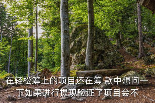 輕松籌提現(xiàn)有什么審核，輕松籌審核條件