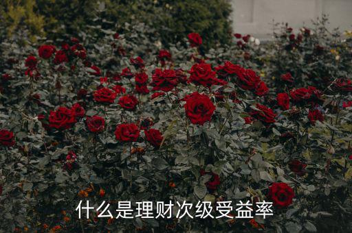 次級收益是什么，什么是理財(cái)次級受益率