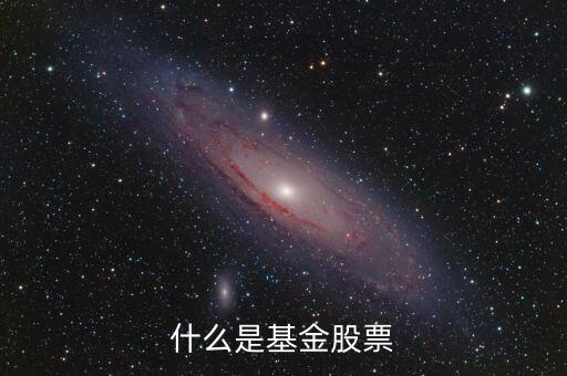 什么是基金股，什么叫基金股