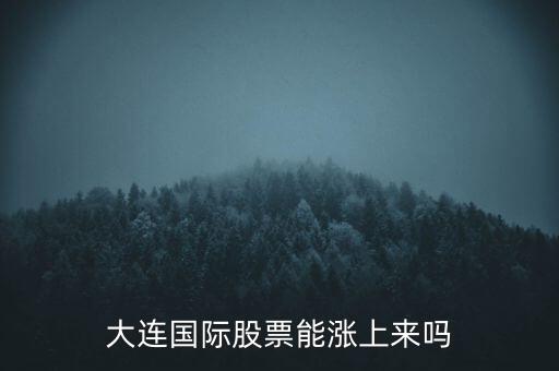 大連國際什么時候漲，大連國際股票能漲上來嗎