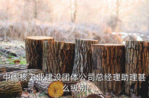 中國核工業(yè)集團(tuán)什么級別，中國核工業(yè)建設(shè)團(tuán)體公司總經(jīng)理助理甚么級別