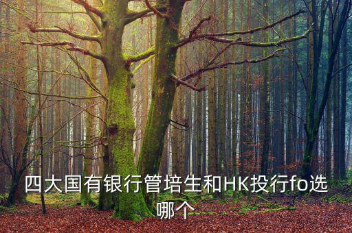 四大去投行有什么優(yōu)勢，女 研究生畢業(yè)想進投行 考研想考北大 清華 復(fù)旦或者香港大學(xué) 請問這四