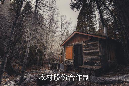 什么是農(nóng)民股份合作，什么叫農(nóng)村經(jīng)濟合作股份制