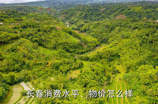  長春消費(fèi)水平、物價怎么樣