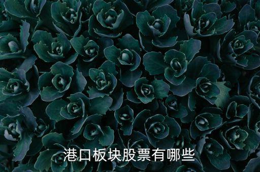 福建有什么港口股票，福建有哪些優(yōu)良的港口