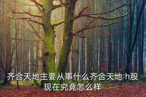 齊合天地主要從事什么齊合天地 h股現在究竟怎么樣