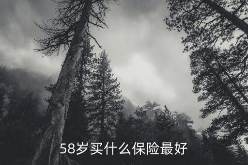 58歲女性做什么保險(xiǎn)，58歲女性可以辦哪些保險(xiǎn)啊