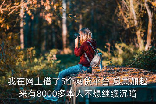什么網貸能帶8000，今年二十我想貸款八千現有工作分是還款靠譜有好心人幫忙指點