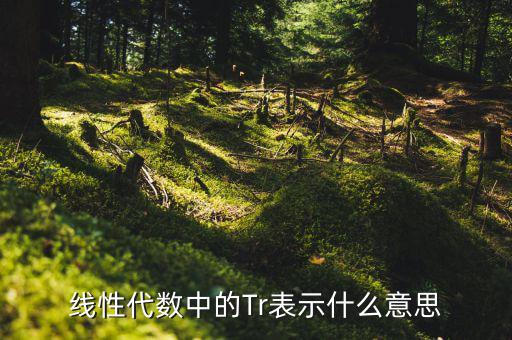 一陽穿四線說明什么，一陽穿四線成交增量的股票會漲嗎