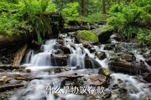 什么是銀行協(xié)議存款，什么是銀行協(xié)定存款