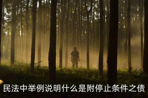 附停止條件的合同是什么意思，請教一下 怎么理解附條件和附期限合同啊 最好舉個例子 萬分感謝  搜