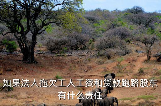 法人跑路屬于什么罪，申請勞動仲裁被告用人單位法人代表逃跑了怎么辦他將背負什么罪