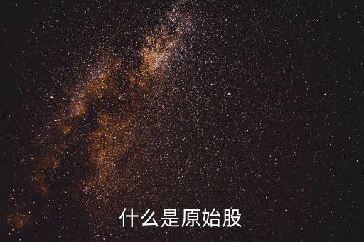 公司原始股是什么，什么是原始股怎樣買原始股