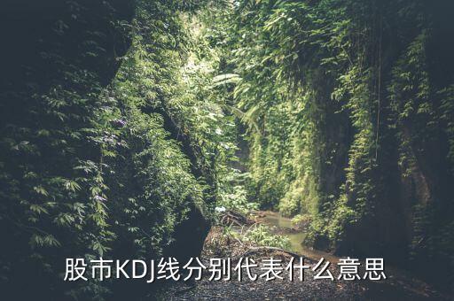 股票中的kdj代表什么，股票指標(biāo)的KDJ是什么意思