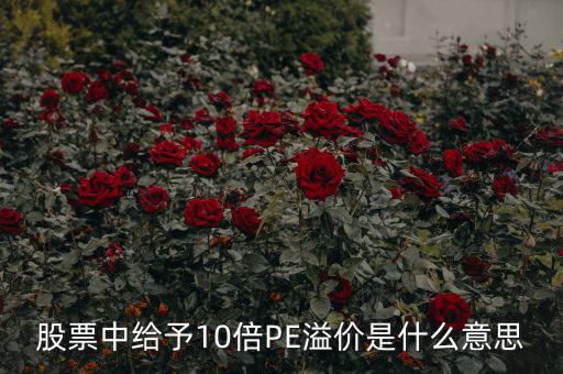 股票10倍市盈率什么意思，買10倍市盈率上下的大盤股什么意思