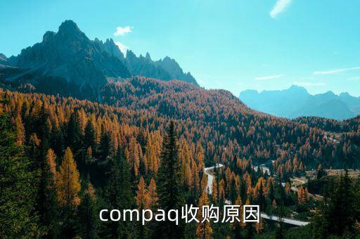 泰一指尚為什么被收購(gòu)，compaq收購(gòu)原因