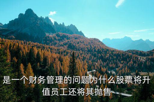 為什么要拋售股票，是一個財務管理的問題為什么股票將升值員工還將其拋售